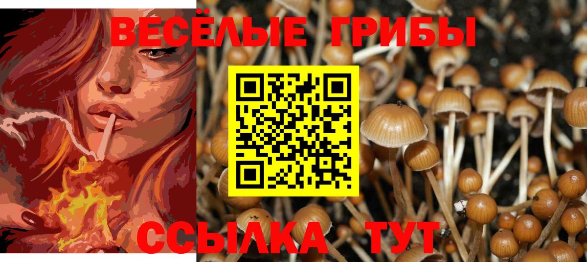 Тулун  где купить наркоту  Вход с VPN  Псилоцибиновые грибы ЛСД 